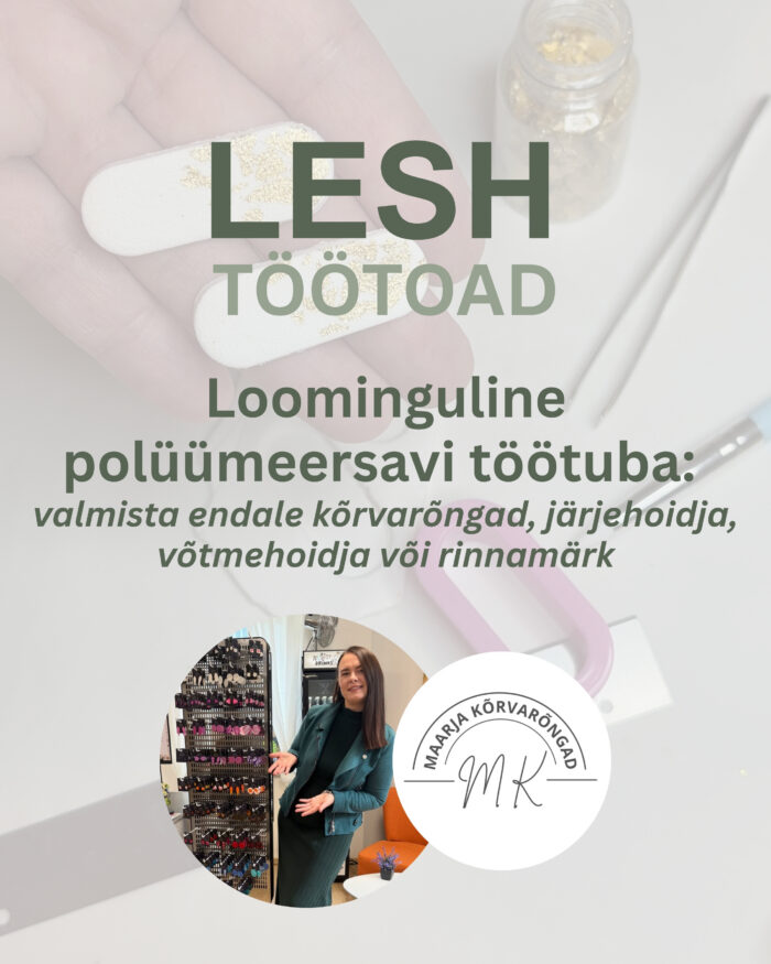Loominguline polümeersavi töötuba (15.11 kell 16) - Image 1